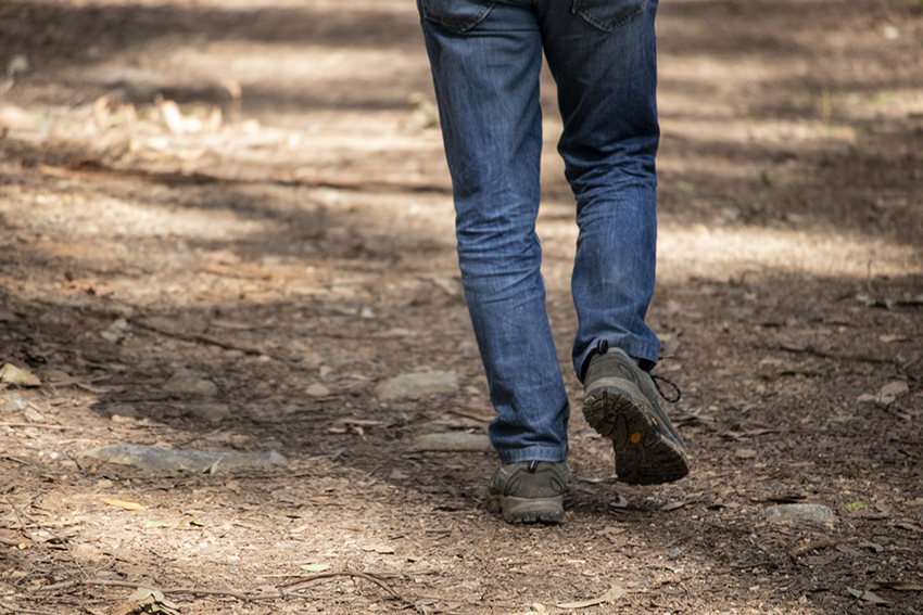 Forest Therapy Victoria Bookings